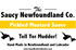 products/Mustard.png